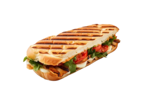 Panini kebab
